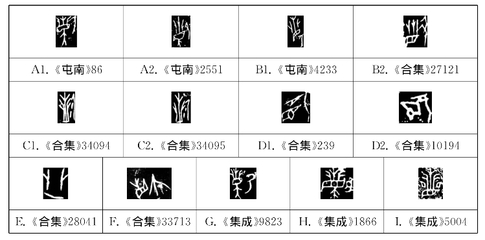 盾字组词(盾字组词语)