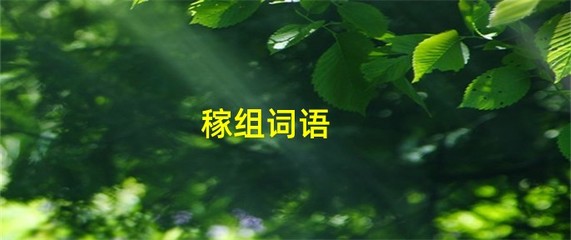 稼字怎么组词(稼字的组词怎么写)