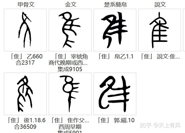 宰字组词(宰字组词加拼音)