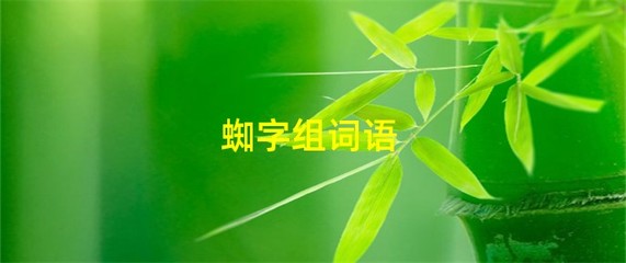 蜘字组词语(蜘字组词100个)