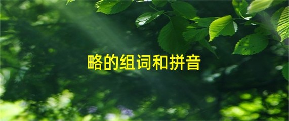 略组词(掠组词)