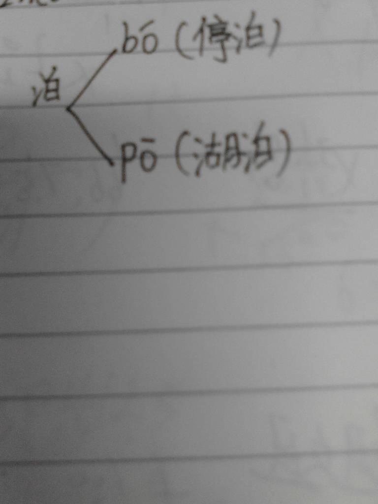 多音字组词泊(多音字组词泊怎么组词)