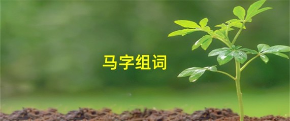 马字旁组词(马字旁组词的字)