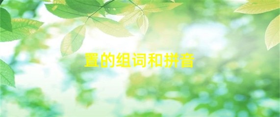 置组词拼音(置组词拼音结构)