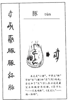 猪字组词(猪字组词怎么组)