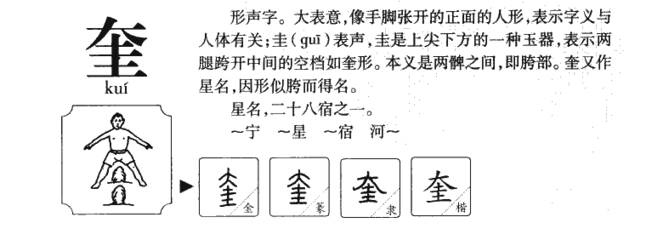 奎字组词(奎组成语)