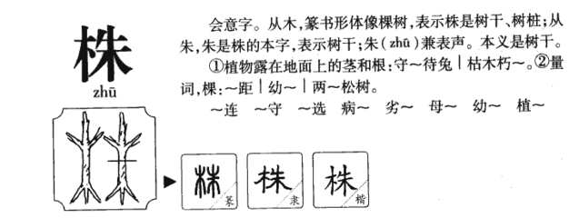 株可以怎么组词(株怎么组词两个字的词语)