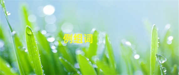 例组词(段组词)