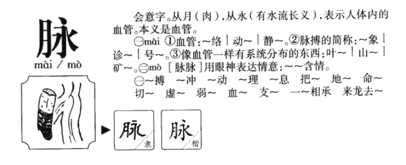 脉组词和部首(脉组词和部首拼音)