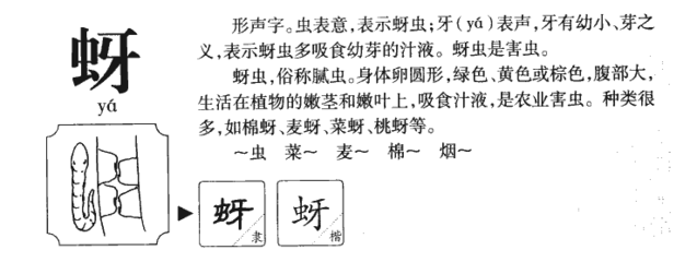 芽组词和部首(芽组词和部首结构是什么意思)