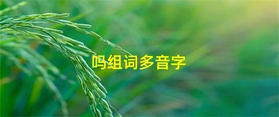 吗多音字组词(吗多音字组词和拼音)