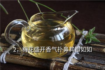 香组词(香组词三个字)