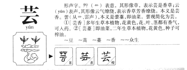 芸字组词(茅字组词)