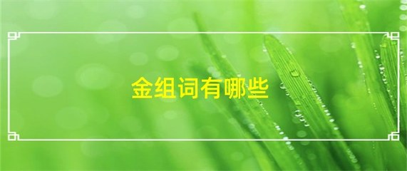 金组词(金组词四个字)