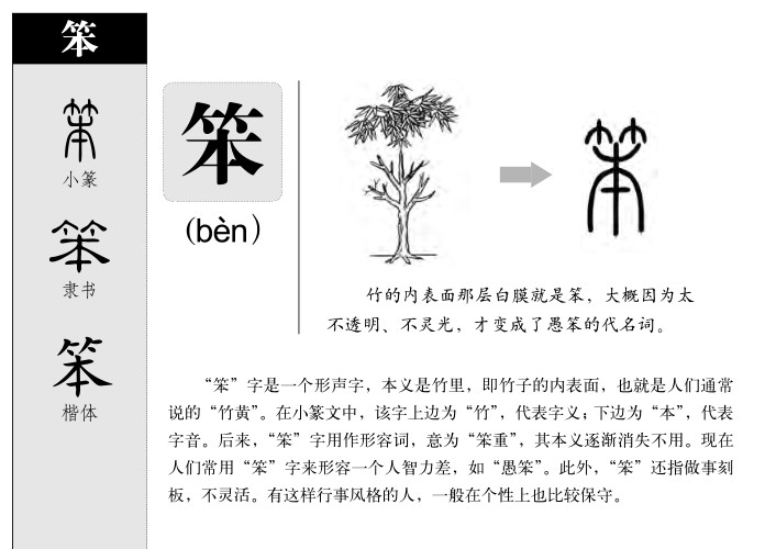 膜组词和部首(膜字组词和拼音)