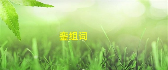 銮组词(銮组词造句)