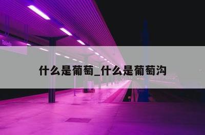 葡萄两个字组词(葡萄两字各组词)