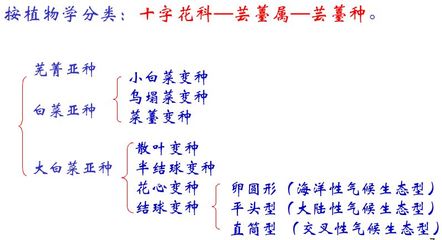 薹组词(薹组词和部首)