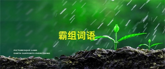 霸怎么组词语(霸字怎么组词语)