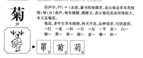 菊字组词大全(菊字组词大全集一年级)