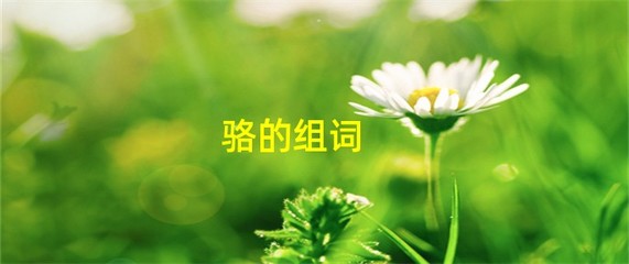 骆怎么组词(落怎么组词)