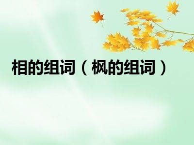 渔夫的渔组词(渔夫的渔组词和拼音)