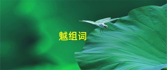 魅组词(魅组词两个字)