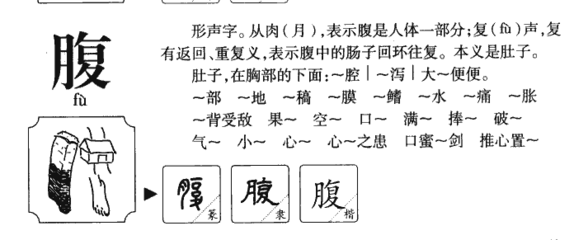 腹的组词拼音(腹的组词拼音偏旁)