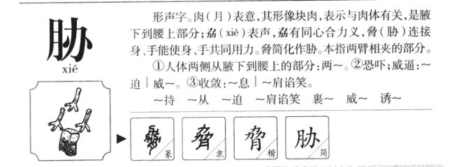 腰字组词(腰字组词和拼音)