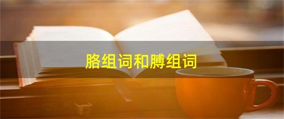 胳字怎么组词(胳,组词)