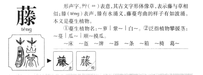 藤字组词(藤字组词语)