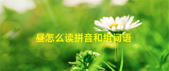 锦怎么组词(锦囊的锦怎么组词)