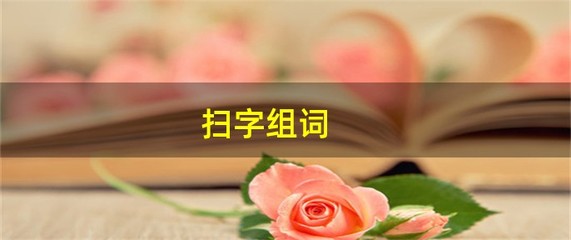 扫字的组词(扫字的组词有什么呢)