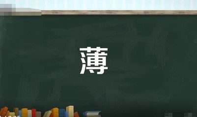 多音字组词薄(薄多音字组词语词)