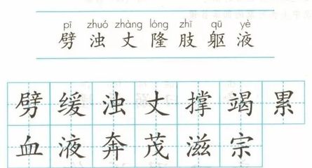 肢怎么组词(肢怎么组词两个字)