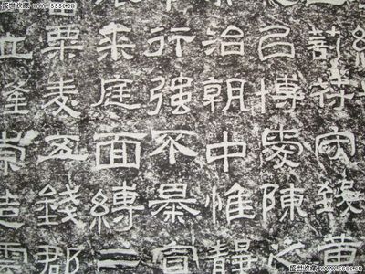 庭换偏旁组词(庭换偏旁组新字)