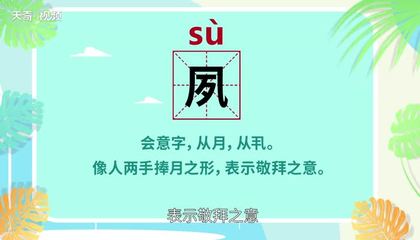 敬怎么组词(敬怎么组词二年级下册语文人教版)