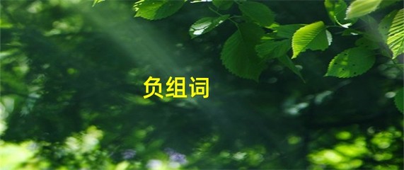 负的组词有什么(负的组词是)