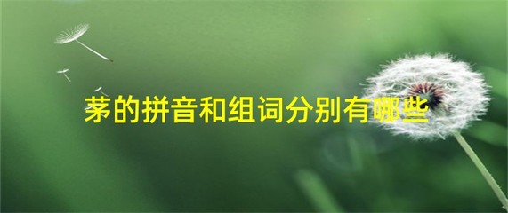 茅组词和拼音(茅组词和拼音和偏旁)