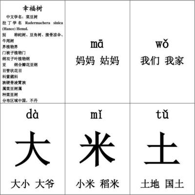 幸福组词(幸福组词四个字微信名)