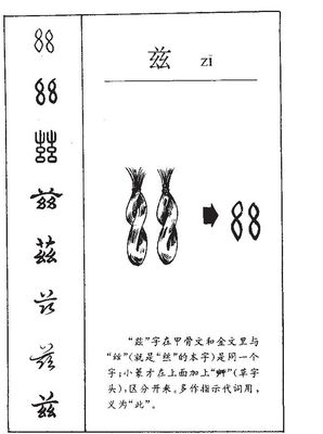 兹的组词(兹的组词和部首)