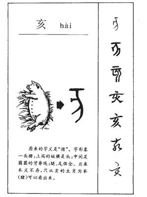 腿字组词(会字组词)