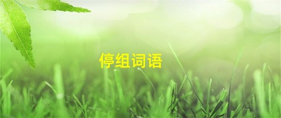 停车的停组词(停车的停组词怎么组)