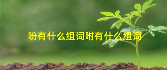 咐字怎么组词(咐字怎么组词是什么)