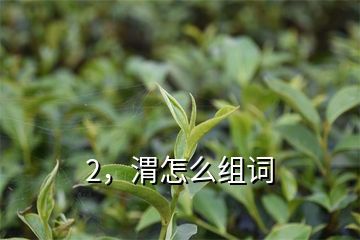 泾怎么组词(jing怎么组词和拼音)