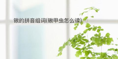 锹字组词(锹字组词怎么组)