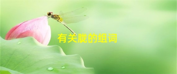 朦字组词(朦字组词和拼音部首)