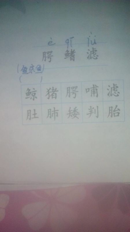 肚组词(腊组词)