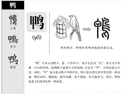 鸭的组词(鸭的组词有什么)