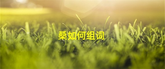 聪怎么组词(聪怎么组词语和拼音怎么写)